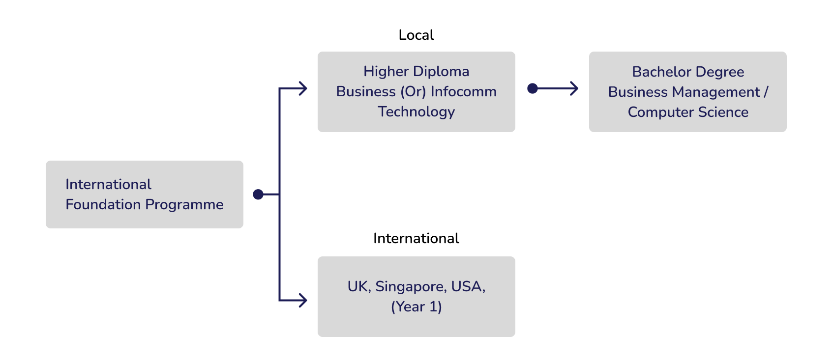 International Foundation Programme