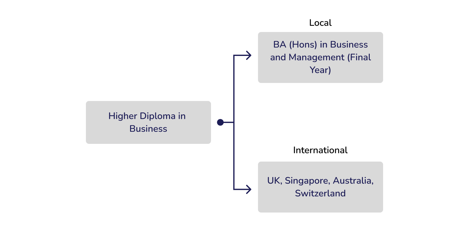 Higher Diploma in Business